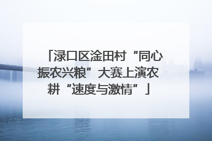 渌口区淦田村“同心振农兴粮”大赛上演农耕“速度与激情”