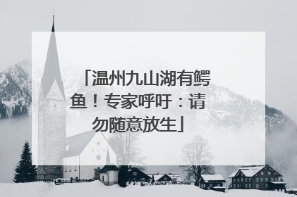 温州九山湖有鳄鱼！专家呼吁：请勿随意放生