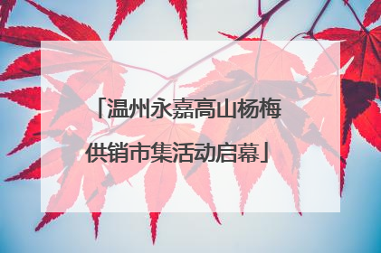 温州永嘉高山杨梅供销市集活动启幕