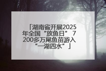 湖南省开展2025年全国“放鱼日” 7200多万尾鱼苗游入“一湖四水”