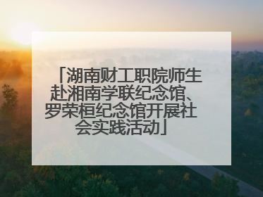 湖南财工职院师生赴湘南学联纪念馆、罗荣桓纪念馆开展社会实践活动