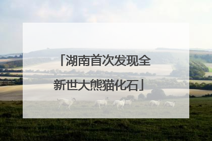 湖南首次发现全新世大熊猫化石