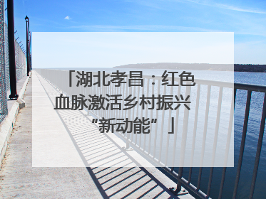 湖北孝昌：红色血脉激活乡村振兴“新动能”