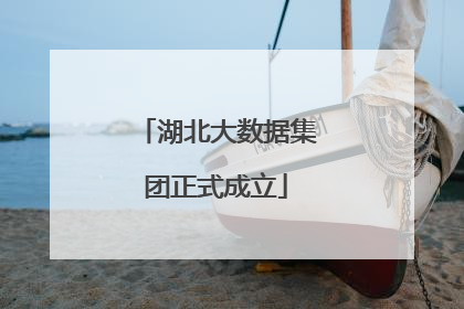 湖北大数据集团正式成立