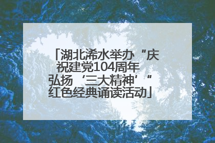 湖北浠水举办“庆祝建党104周年 弘扬‘三大精神’”红色经典诵读活动