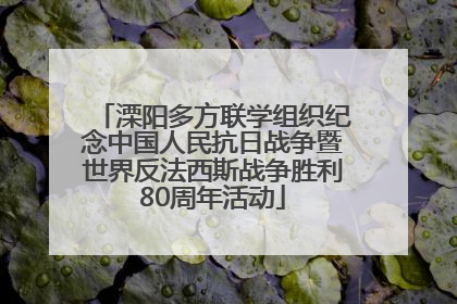 溧阳多方联学组织纪念中国人民抗日战争暨世界反法西斯战争胜利80周年活动
