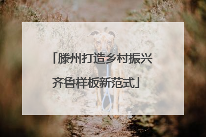 滕州打造乡村振兴齐鲁样板新范式