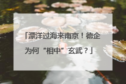 漂洋过海来南京！德企为何“相中”玄武？