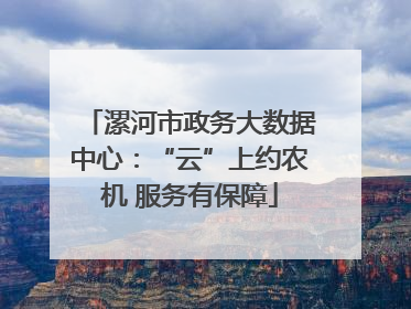 漯河市政务大数据中心：“云”上约农机 服务有保障