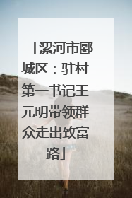 漯河市郾城区：驻村第一书记王元明带领群众走出致富路