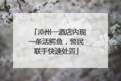 漳州一酒店内现一条活鳄鱼，警民联手快速处置