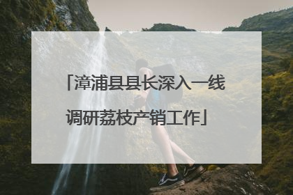 漳浦县县长深入一线调研荔枝产销工作