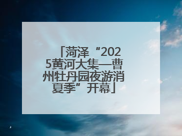 菏泽“2025黄河大集—曹州牡丹园夜游消夏季”开幕