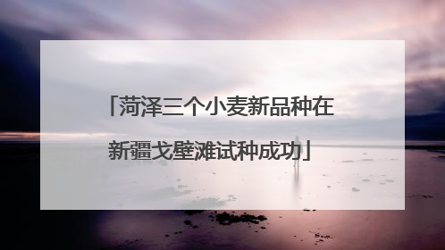 菏泽三个小麦新品种在新疆戈壁滩试种成功