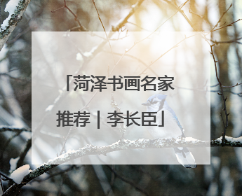 菏泽书画名家推荐｜李长臣
