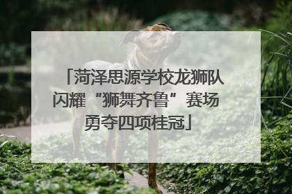 菏泽思源学校龙狮队闪耀“狮舞齐鲁”赛场 勇夺四项桂冠