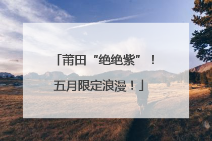 莆田“绝绝紫”！五月限定浪漫！
