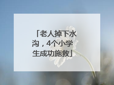 老人掉下水沟，4个小学生成功施救