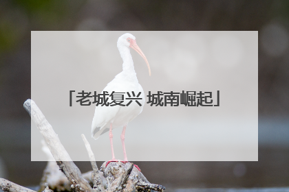 老城复兴 城南崛起