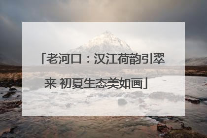 老河口：汉江荷韵引翠来 初夏生态美如画
