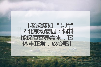 老虎瘦如“卡片”？北京动物园：饲料能保障营养需求，它体重正常，放心吧