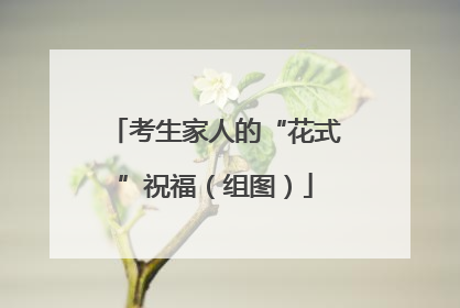 考生家人的“花式”祝福（组图）