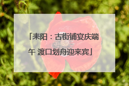 耒阳：古街铺宴庆端午 渡口划舟迎来宾