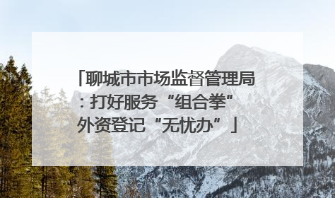 聊城市市场监督管理局：打好服务“组合拳” 外资登记“无忧办”