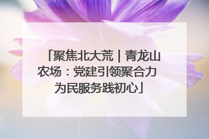 聚焦北大荒｜青龙山农场：党建引领聚合力 为民服务践初心