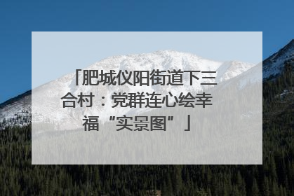 肥城仪阳街道下三合村：党群连心绘幸福“实景图”