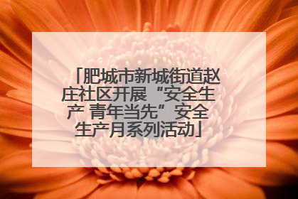 肥城市新城街道赵庄社区开展“安全生产 青年当先”安全生产月系列活动