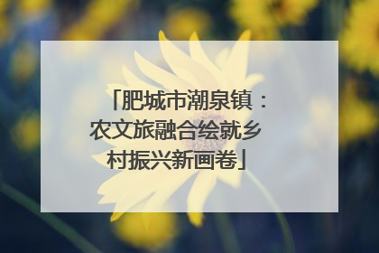 肥城市潮泉镇：农文旅融合绘就乡村振兴新画卷