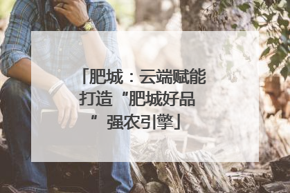 肥城：云端赋能 打造“肥城好品”强农引擎