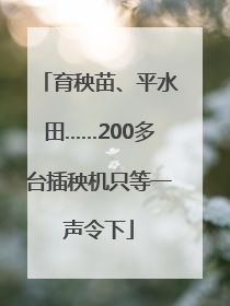 育秧苗、平水田……200多台插秧机只等一声令下