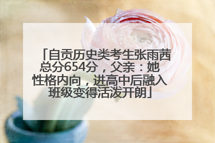 自贡历史类考生张雨茜总分654分，父亲：她性格内向，进高中后融入班级变得活泼开朗