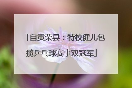 自贡荣县：特校健儿包揽乒乓球赛事双冠军