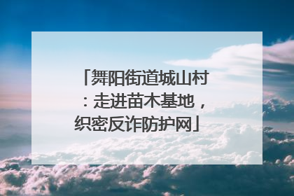 舞阳街道城山村：走进苗木基地，织密反诈防护网