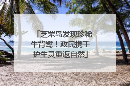 芝罘岛发现珍稀牛背鹭！政民携手护生灵重返自然