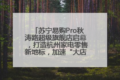 苏宁易购Pro秋涛路超级旗舰店启幕，打造杭州家电零售新地标，加速“大店攻略”全省布局