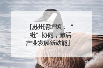 苏州渭塘镇：“三链”协同，激活产业发展新动能