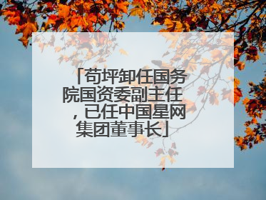 苟坪卸任国务院国资委副主任，已任中国星网集团董事长