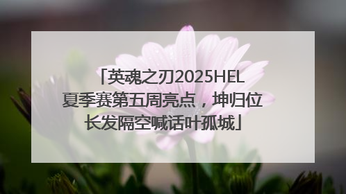 英魂之刃2025HEL夏季赛第五周亮点，坤归位长发隔空喊话叶孤城