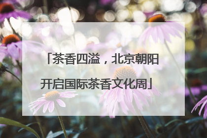茶香四溢，北京朝阳开启国际茶香文化周