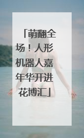 萌翻全场！人形机器人嘉年华开进花博汇