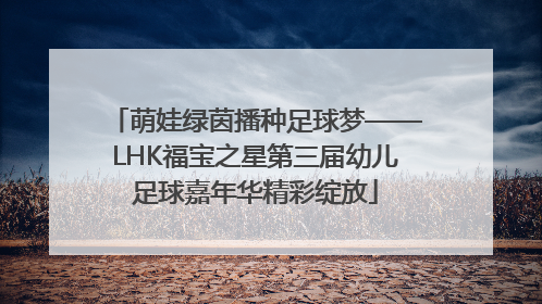 萌娃绿茵播种足球梦——LHK福宝之星第三届幼儿足球嘉年华精彩绽放