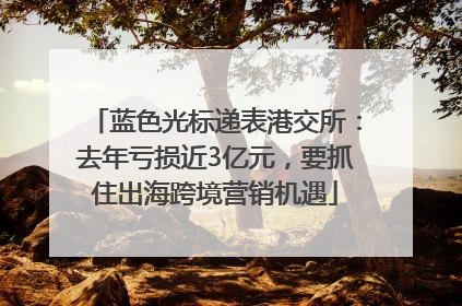 蓝色光标递表港交所：去年亏损近3亿元，要抓住出海跨境营销机遇