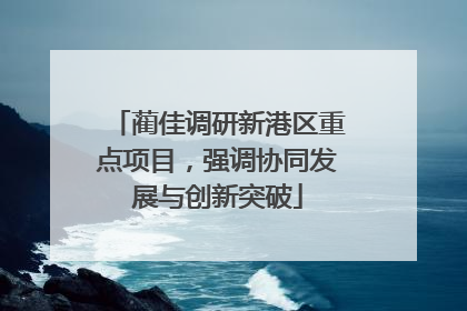 蔺佳调研新港区重点项目，强调协同发展与创新突破