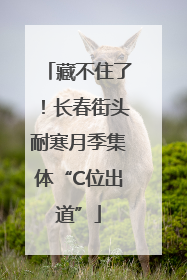 藏不住了！长春街头耐寒月季集体“C位出道”