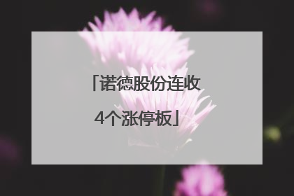 诺德股份连收4个涨停板
