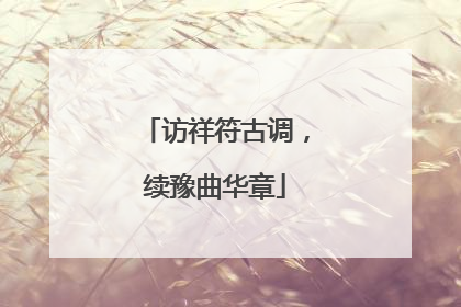 访祥符古调，续豫曲华章
